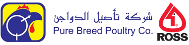 Taseel Pure Breed Poultry